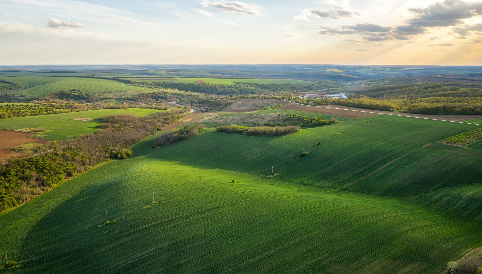 top-view-of-a-spring-field.jpg